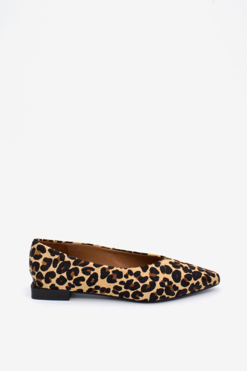 Angel Alarcon Leopard Shoes