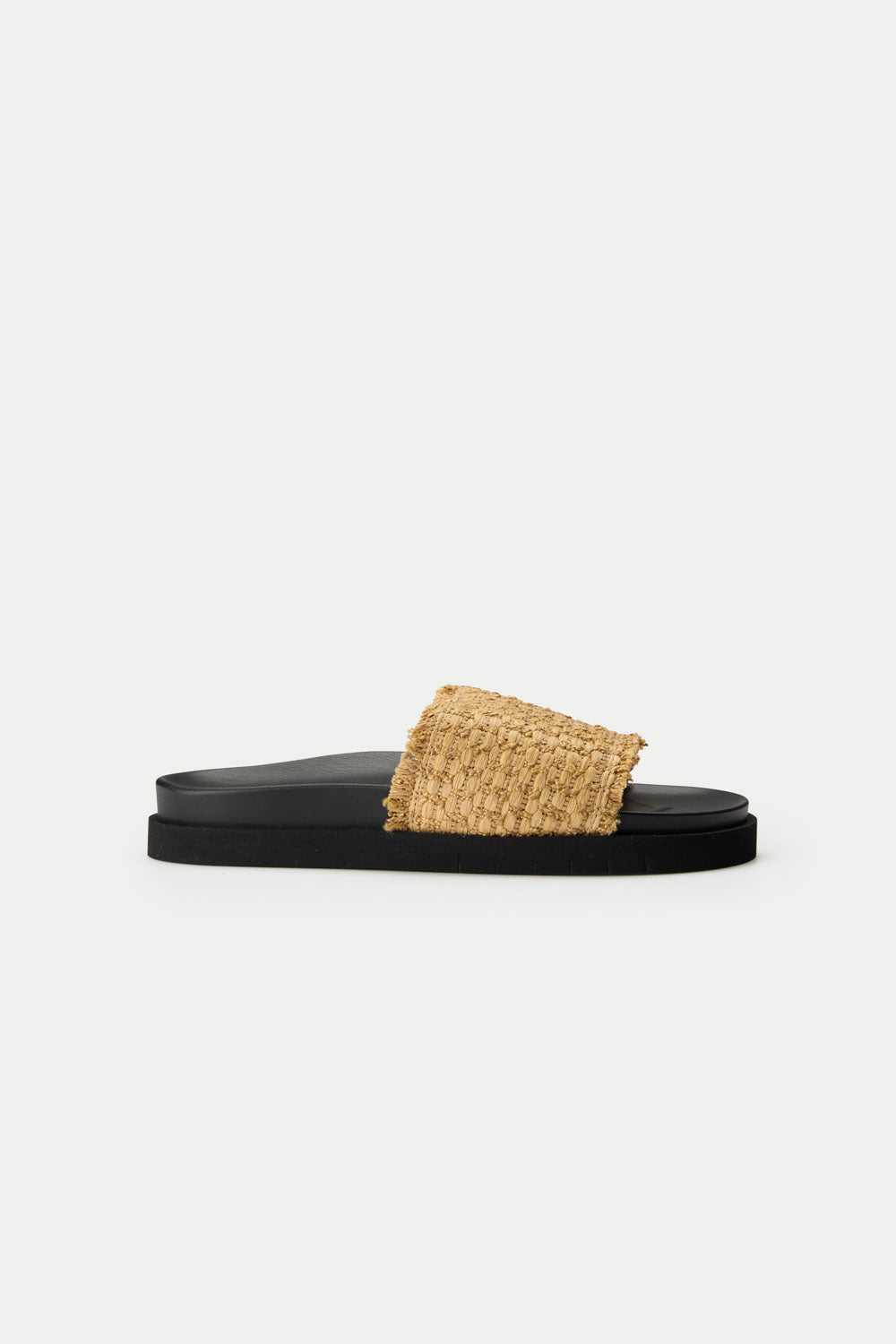 Angel Alarcon Rafia Slides