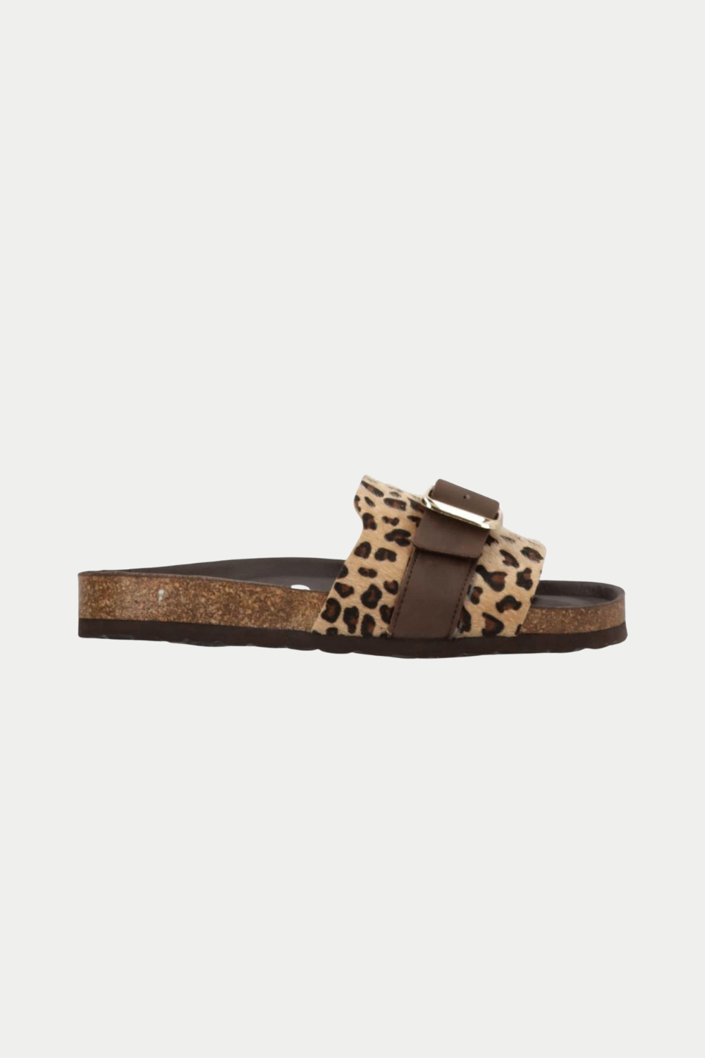 Phenumb Leopard slides