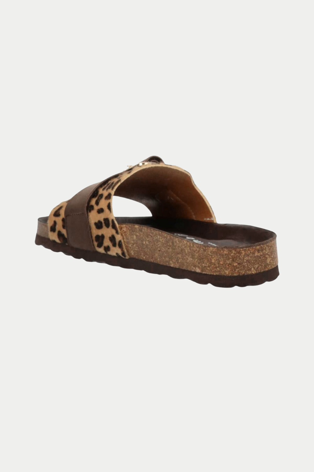 Phenumb Leopard slides