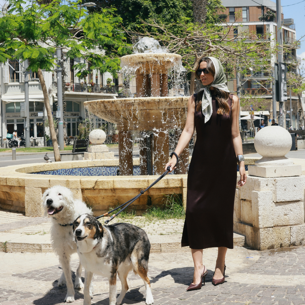 קיץ 2026