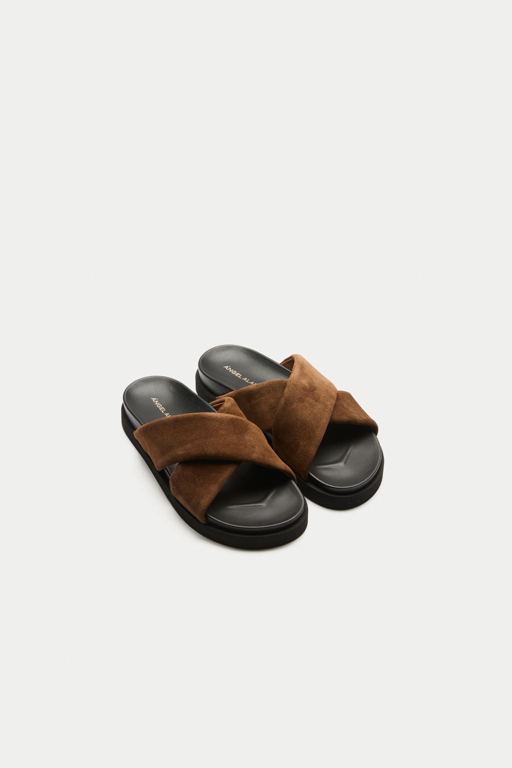 Angel Alarcon X Slides