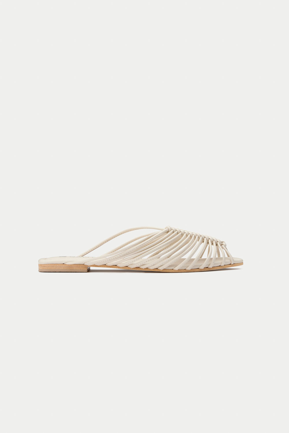 Massimo Santini Terry Slides
