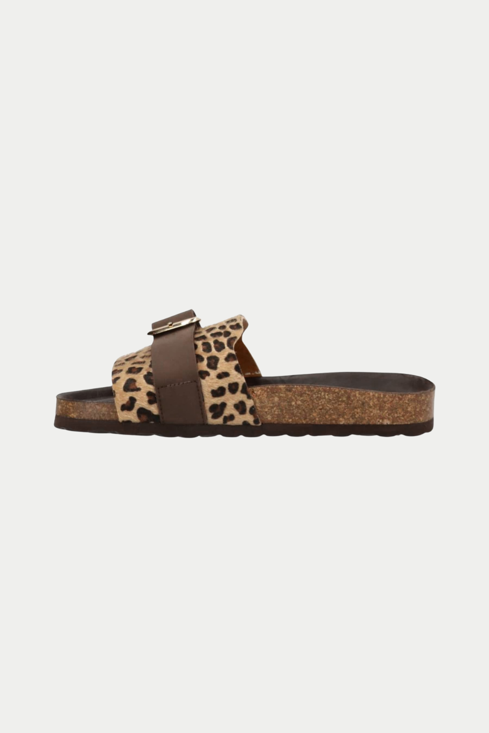 Phenumb Leopard slides