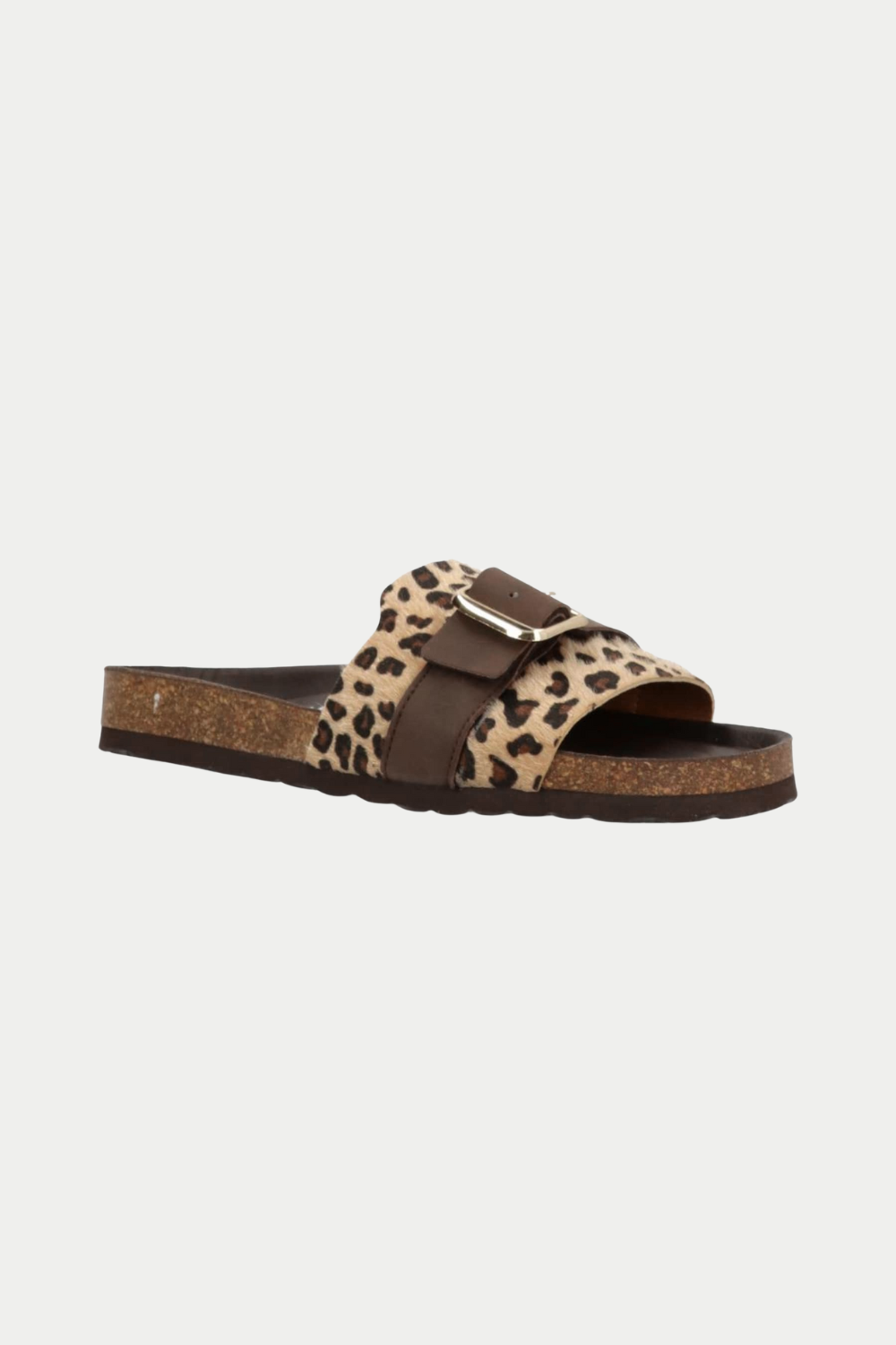 Phenumb Leopard slides